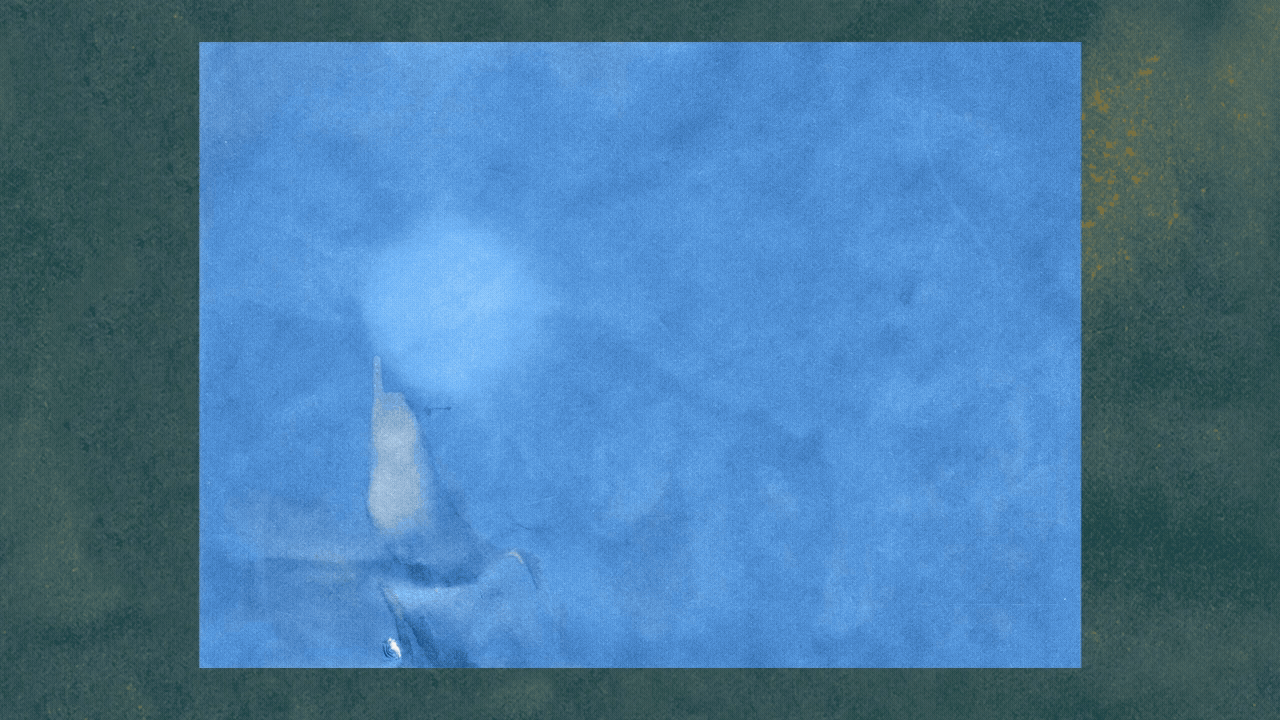 Cyanotypes of Eggs Animation